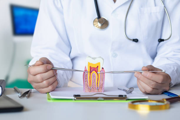 Best Emergency Dental Care for Broken or Chipped Teeth in Brentwood, CA